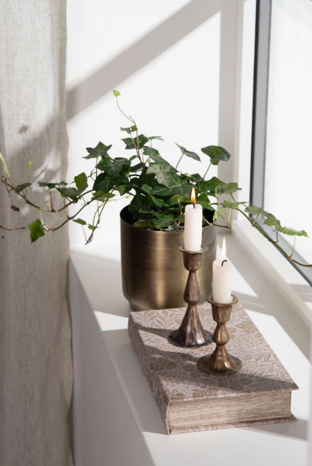 Dekoration Boklåda Vinranka 2-pack 16x5x26 cm