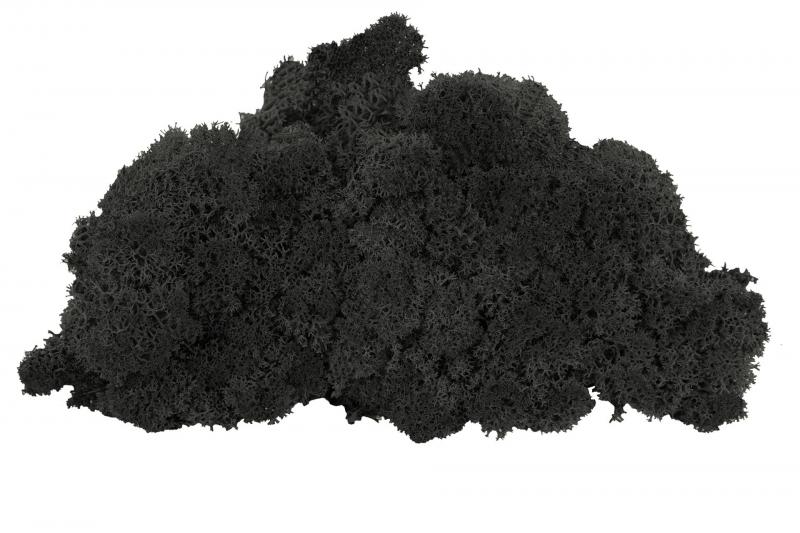 Jul div. Mossa Vitmossa BÄSTA PRIS Flamsäker Svart 500g