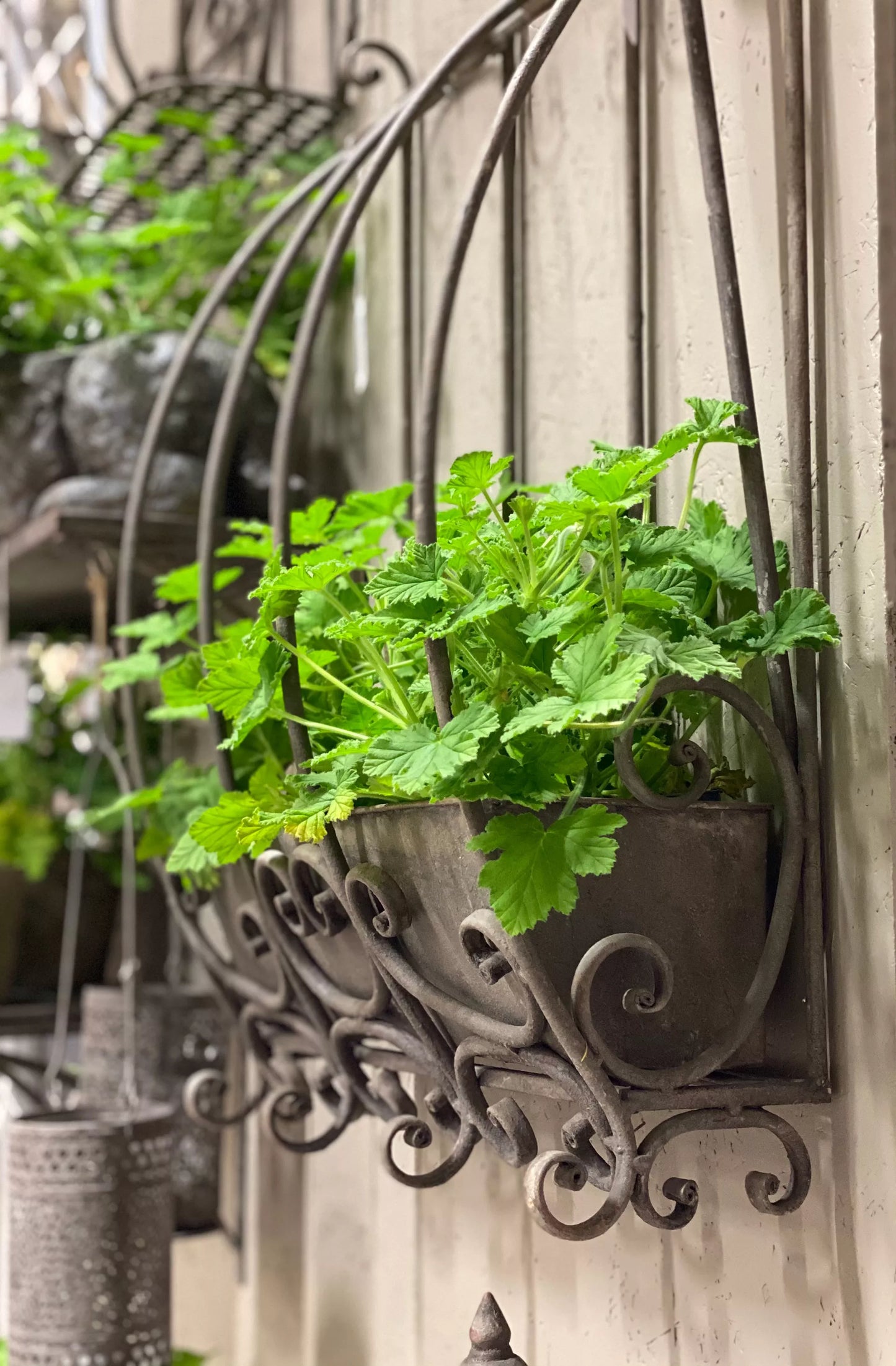 Blomkruka Blomlåda till vägg 66x43 cm HH