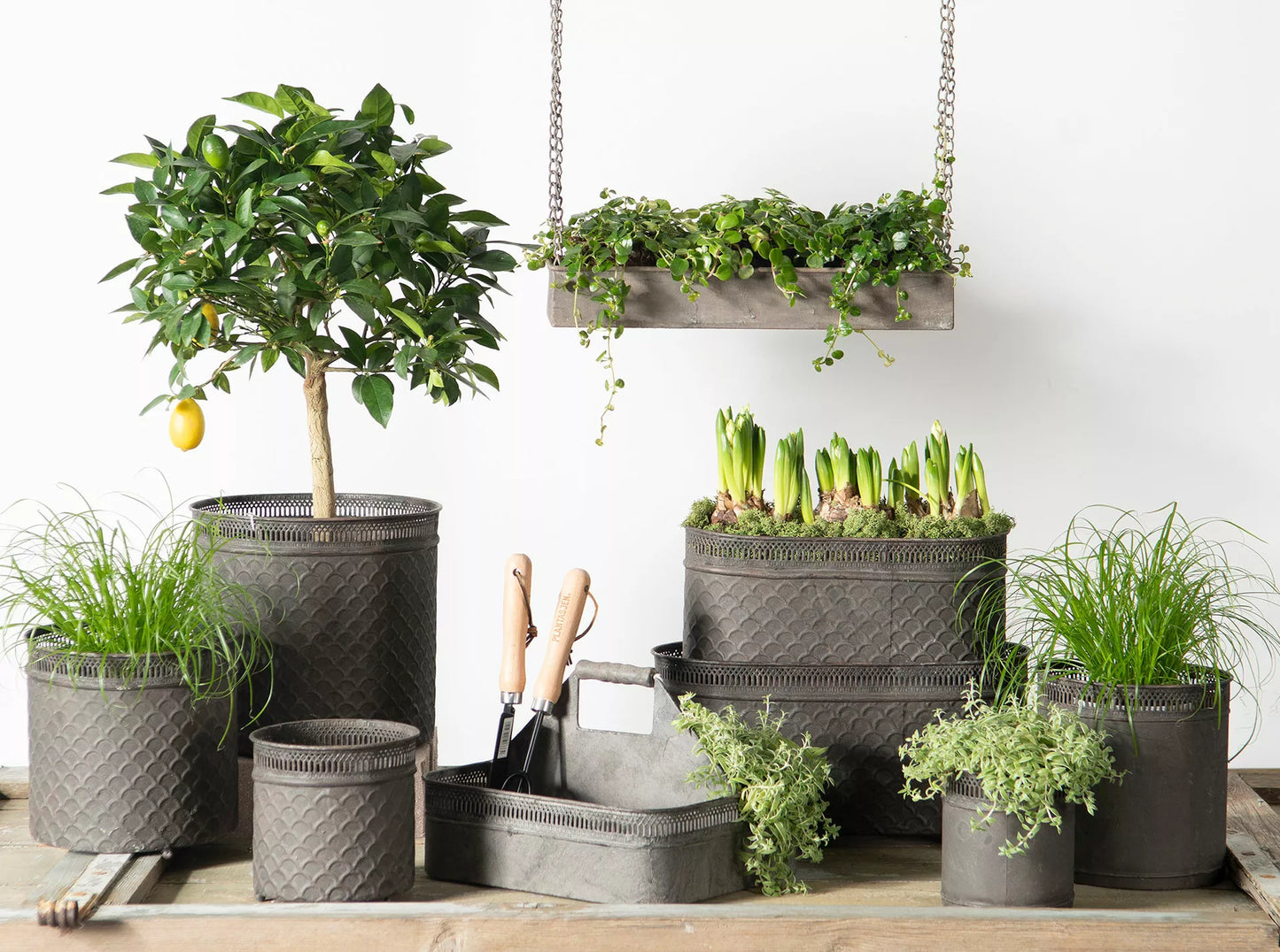 Hängande hylla med kant - antikgrå HH