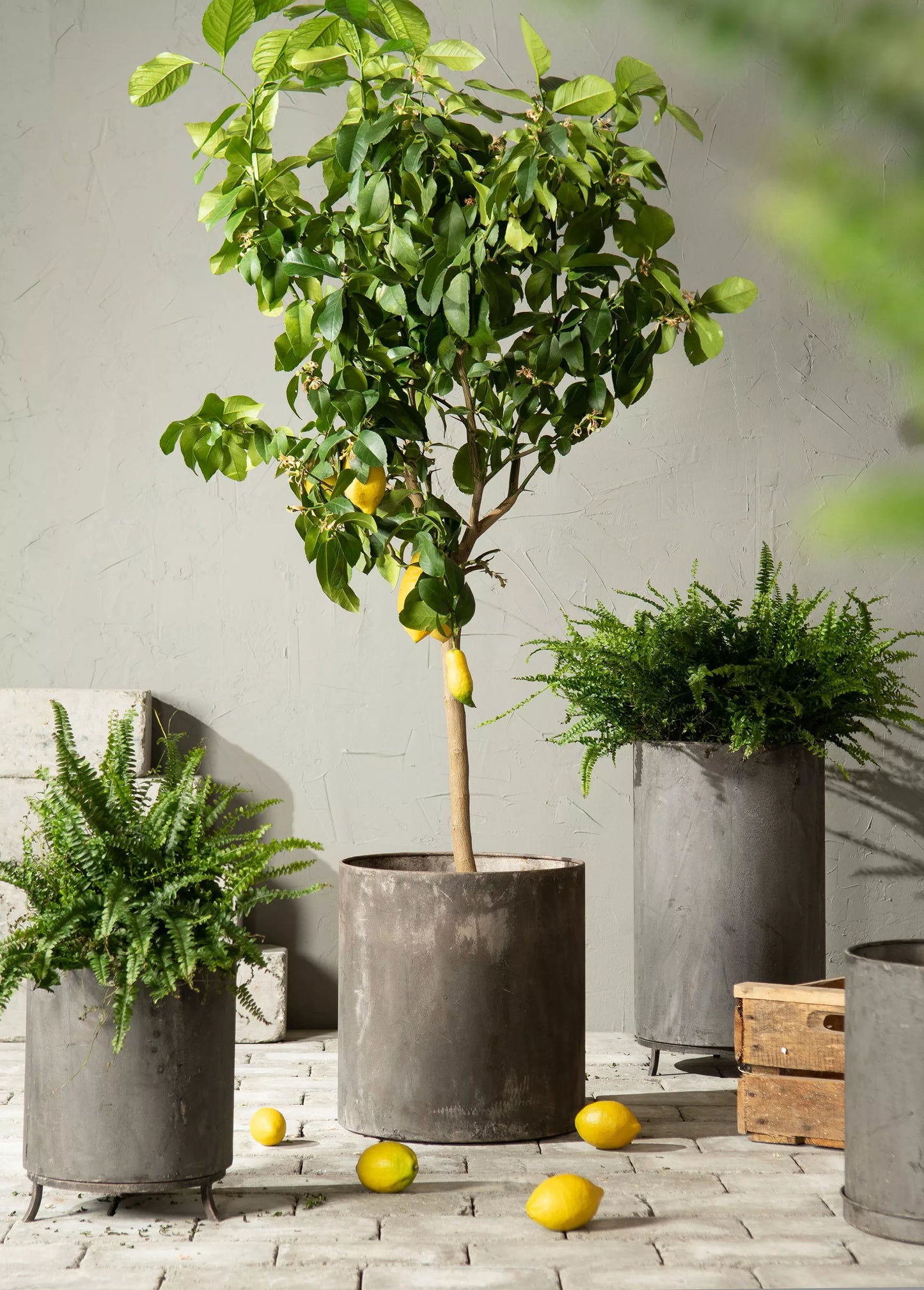 Blomkruka Krukring På Fot för Blomkruka Fot Metall 3-pack HH