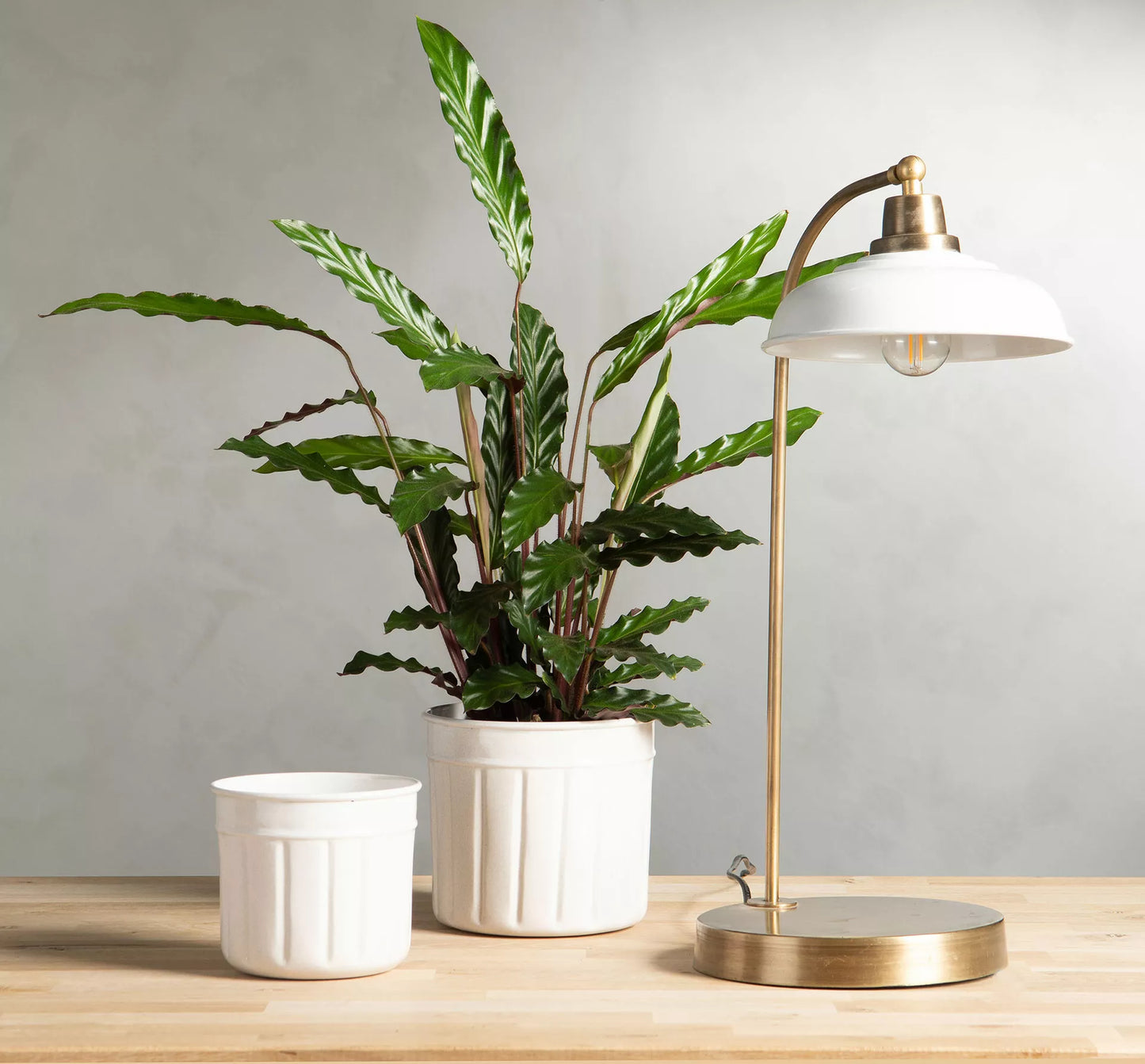 Bordslampa Noa Emalj Shell 30x52cm HH