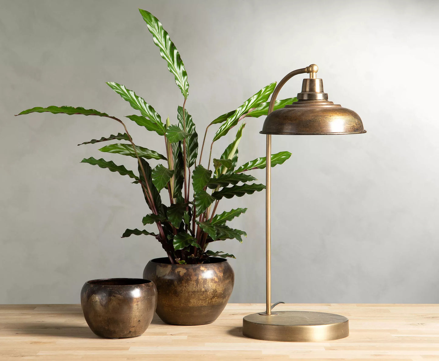 Bordslampa Noa Brun Ant. 30x52cm HH