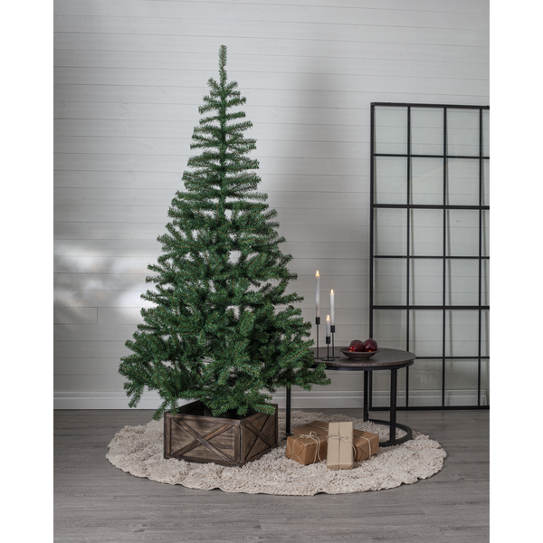 Jul DIV. Julgransfot Woody