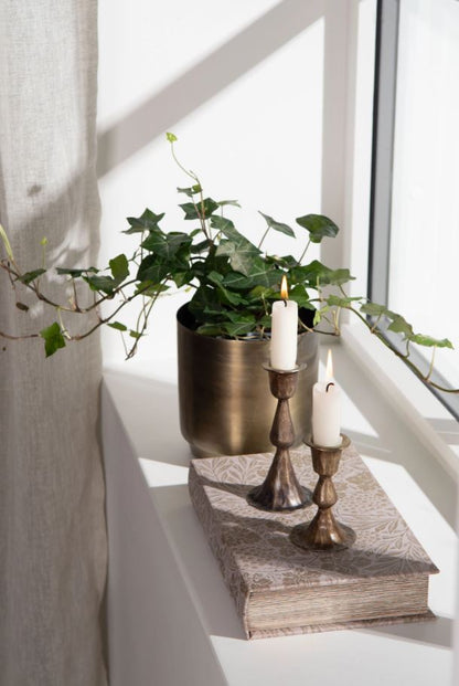 Dekoration Boklåda Vinranka 2-pack 16x5x26 cm