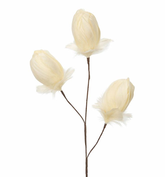 Dekoration Kvist Fjäderknopp Vanilj 3-pack 85 cm