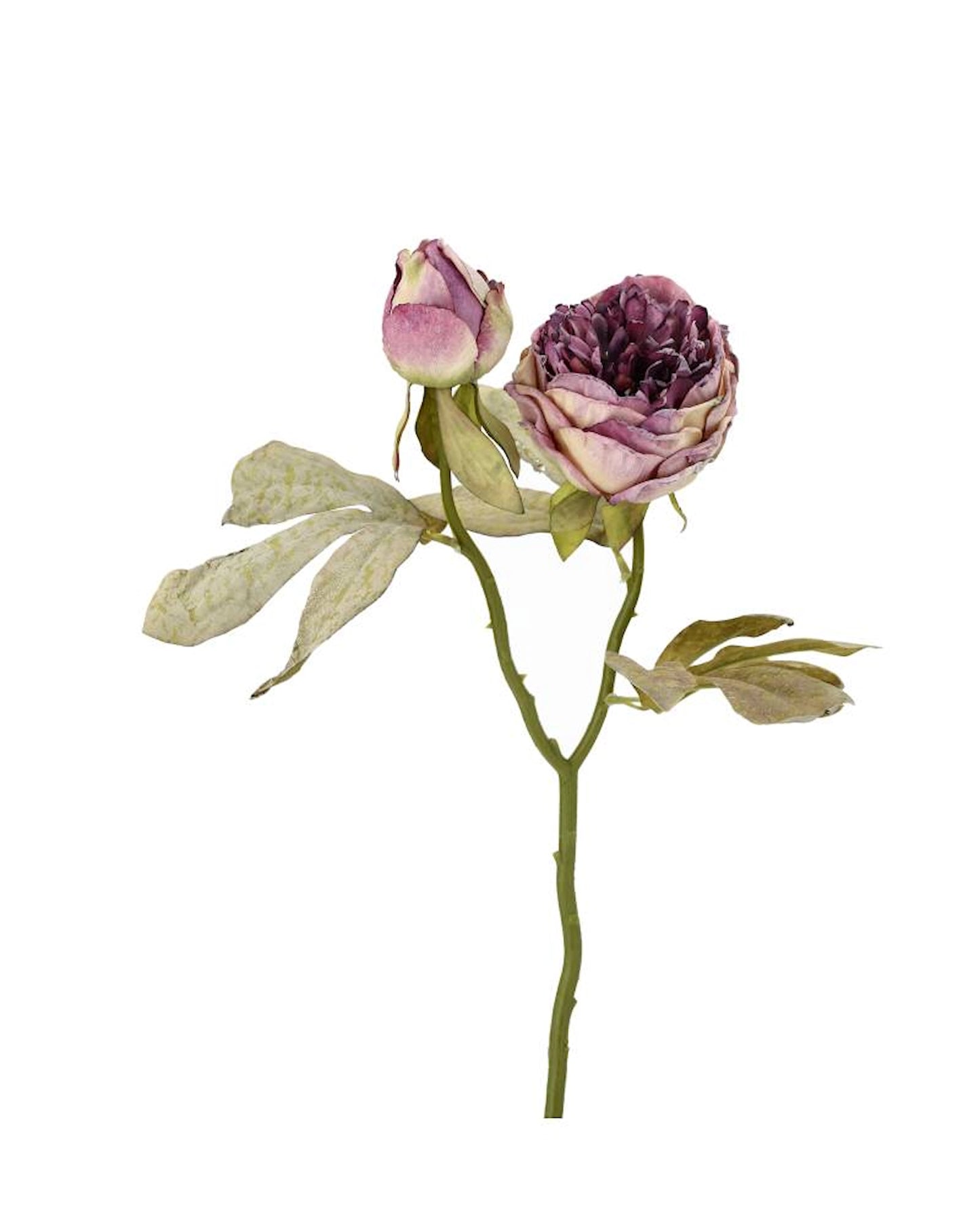 Konstgjord växt Pion Dubbel Lila 3-pack 50 cm