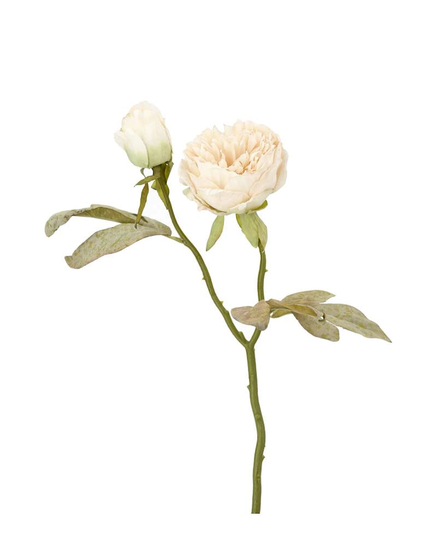 Konstgjord växt Pion Dubbel Vit 3-pack 50 cm