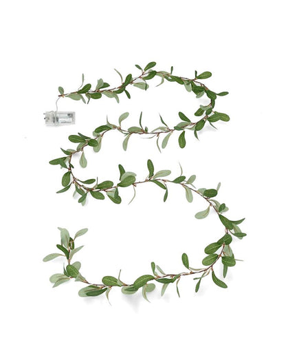 Batteridriven belysning Ljusslinga Eukalyptus LED 200 cm