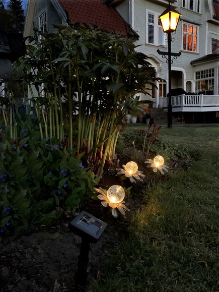 Trädgårdsbelysning DIV. Soldriven Lilly 3 p