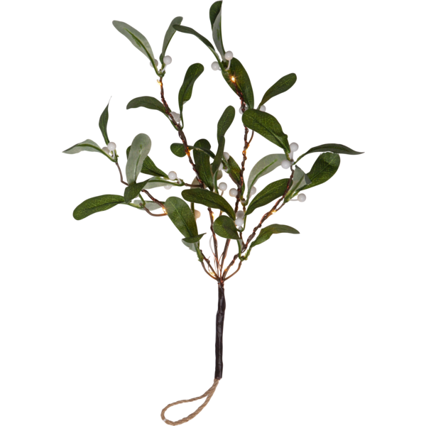 Belysning jul kvist Mistel 35 cm