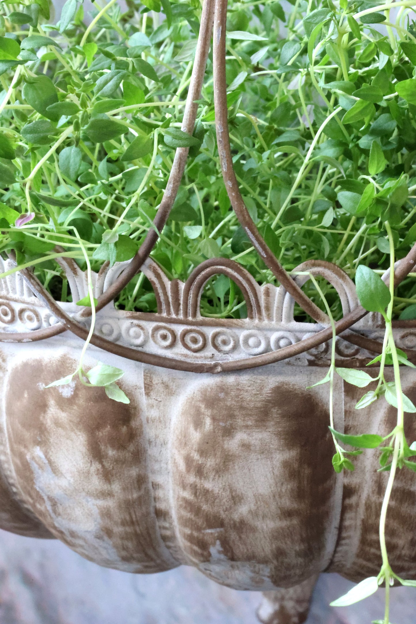 Blomkruka Utomhus till vägg Antik 65 cm
