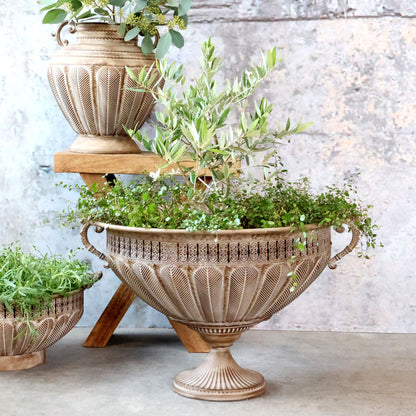 Blomkruka pokal H38/Ø56 cm antik mocca