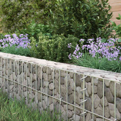 Planteringsgabion upphöjd galvaniserat stål 500x100x20 cm