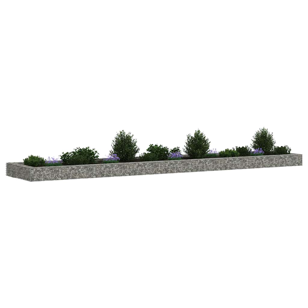 Planteringsgabion upphöjd galvaniserat stål 500x100x20 cm