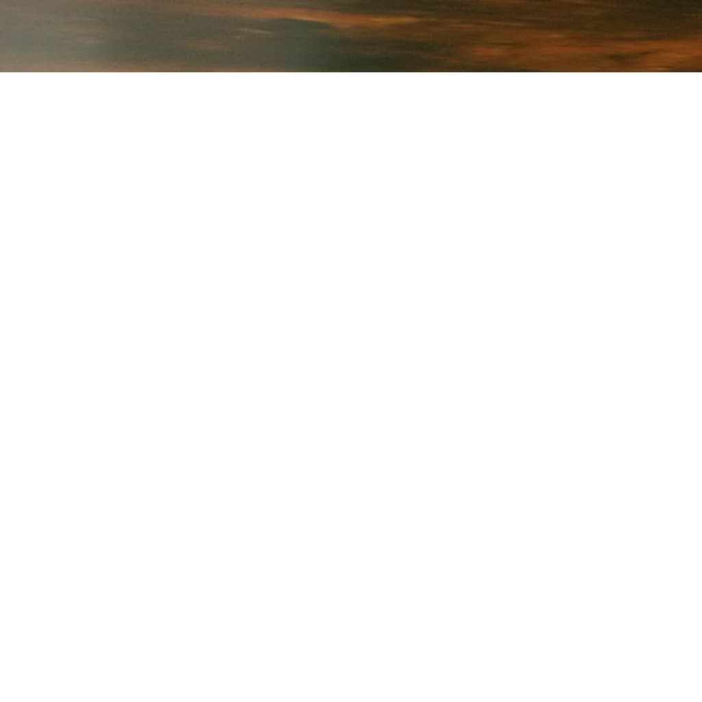 Vägghylla Rökfärgad Ek 69,5x32,5x90 cm