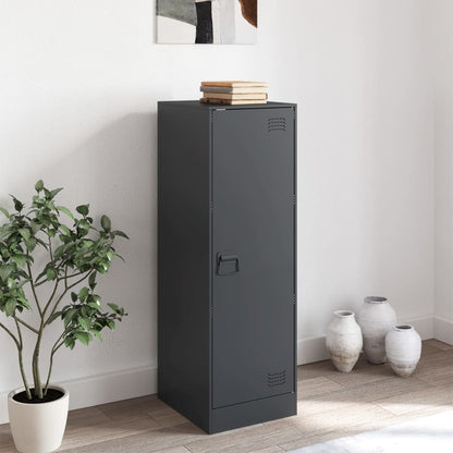 Skänk DIV. antracit 34,5x39x107 cm stål