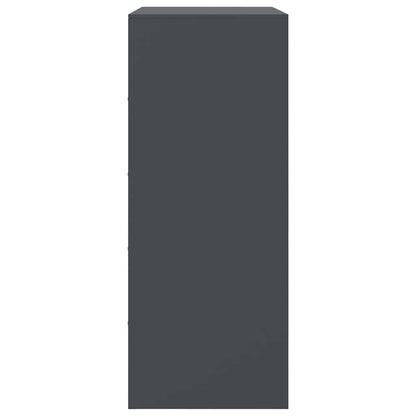 Skåp DIV. antracit 67x39x95 cm stål