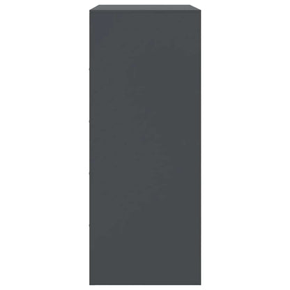 Skåp DIV. antracit 67x39x95 cm stål