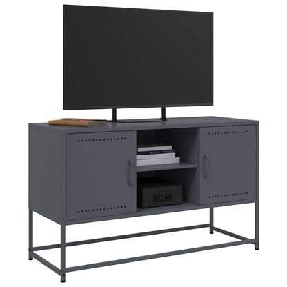 TV-Möbel DIV. TV-skåp antracit 100,5x39x60,5 cm stål