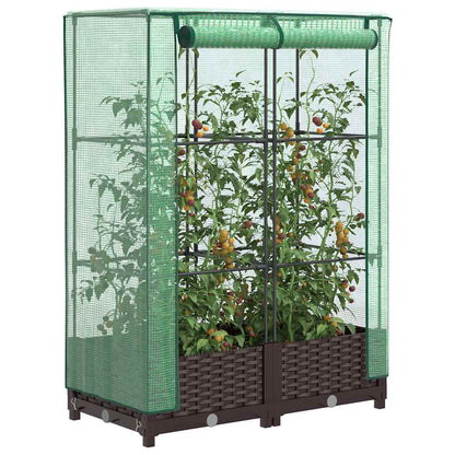 Odlingslåda med växthusöverdrag rottinglook 80x40x123 cm