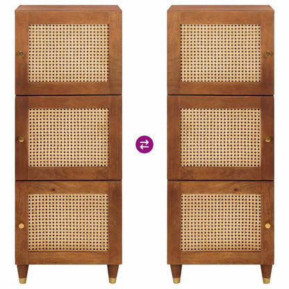 Skåp Trä Brun 40 x 33.5 x 110 cm Rör och massiv mangoträ