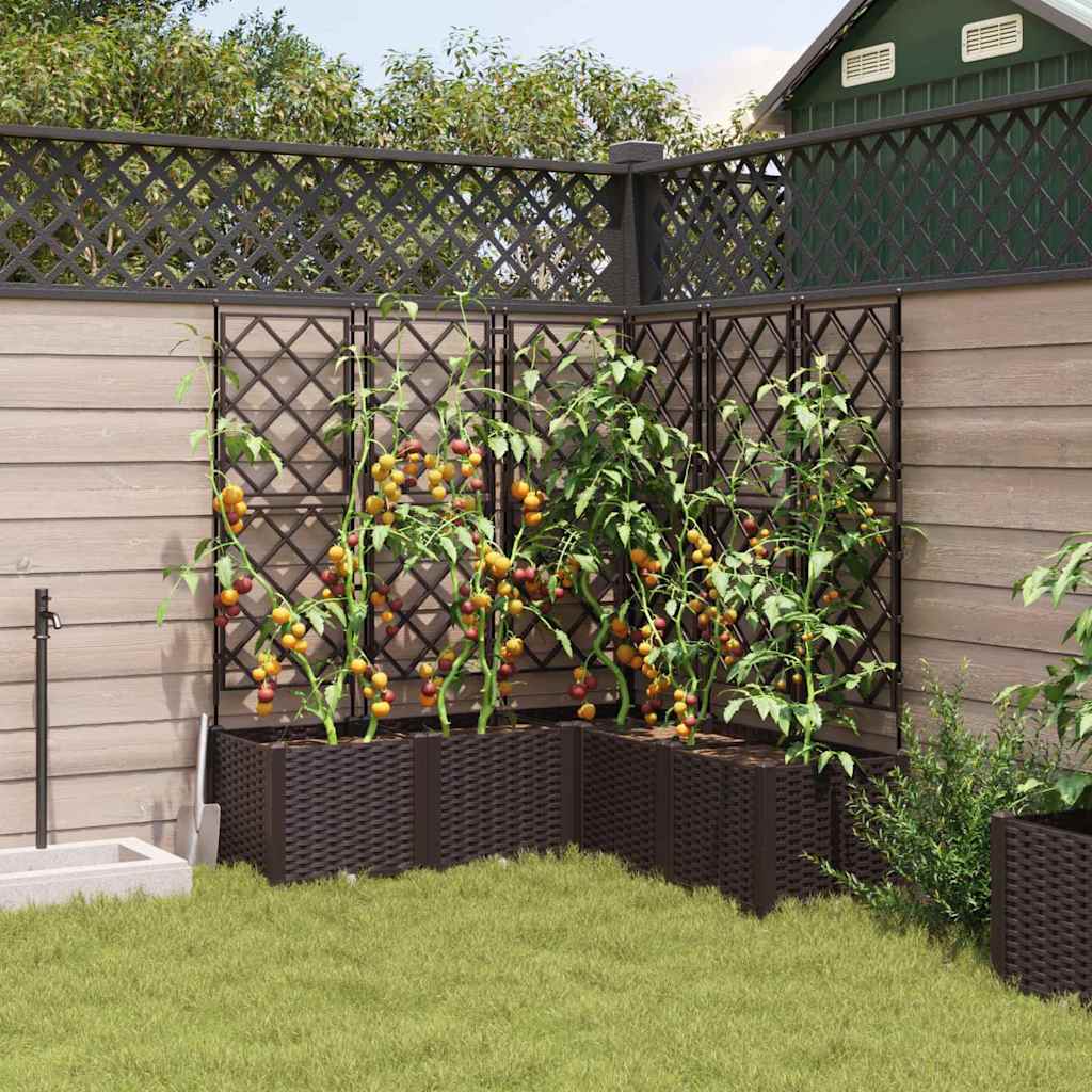 Trädgårdsspaljé Odlingslåda PP Brun 5 pcs Brun 120 x 120 x 143 cm