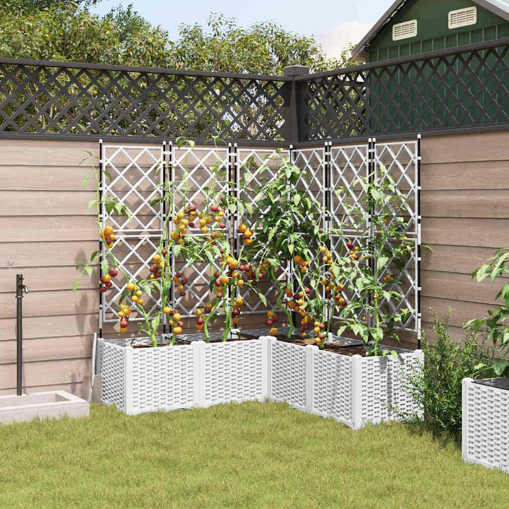 Trädgårdsspaljé Odlingslåda PP Vit 5 pcs 120 x 120 x 143 cm