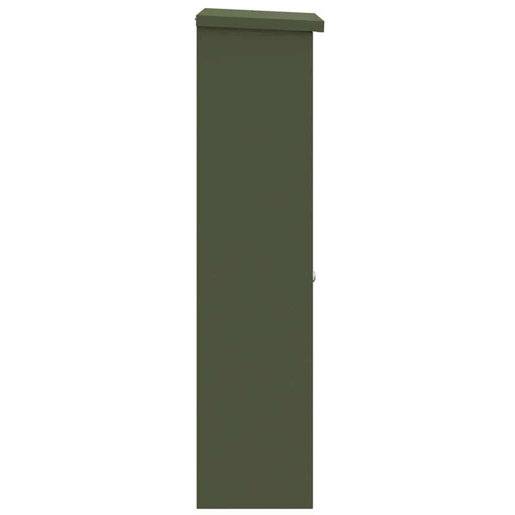 Brevlåda Paketbox med lagring med lås Olivgrön 44,5 x 29 x 110,5 cm Stål