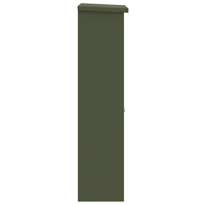 Brevlåda Paketbox med lagring med lås Olivgrön 44,5 x 29 x 110,5 cm Stål