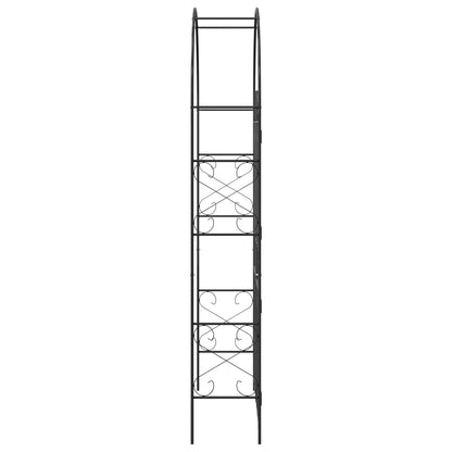 Utomhus Blomställning Växtstöd Trädgårdsbåge Enfärgad Svart 115 x 37 x 226 cm