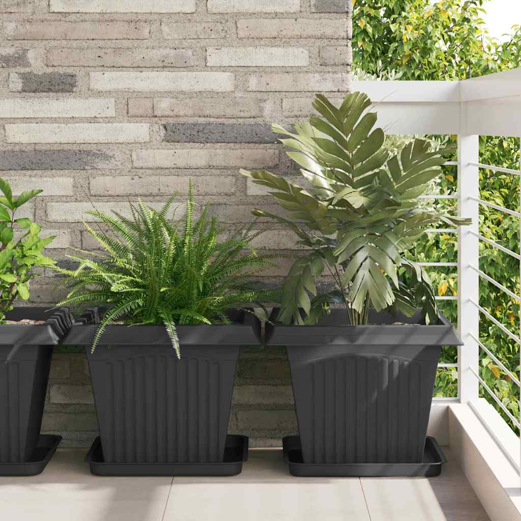Växtkrukor 6 pcs Svart 43 x 43 x 33,5 cm Plast