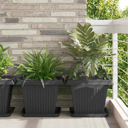 Växtkrukor 6 pcs Svart 43 x 43 x 33,5 cm Plast
