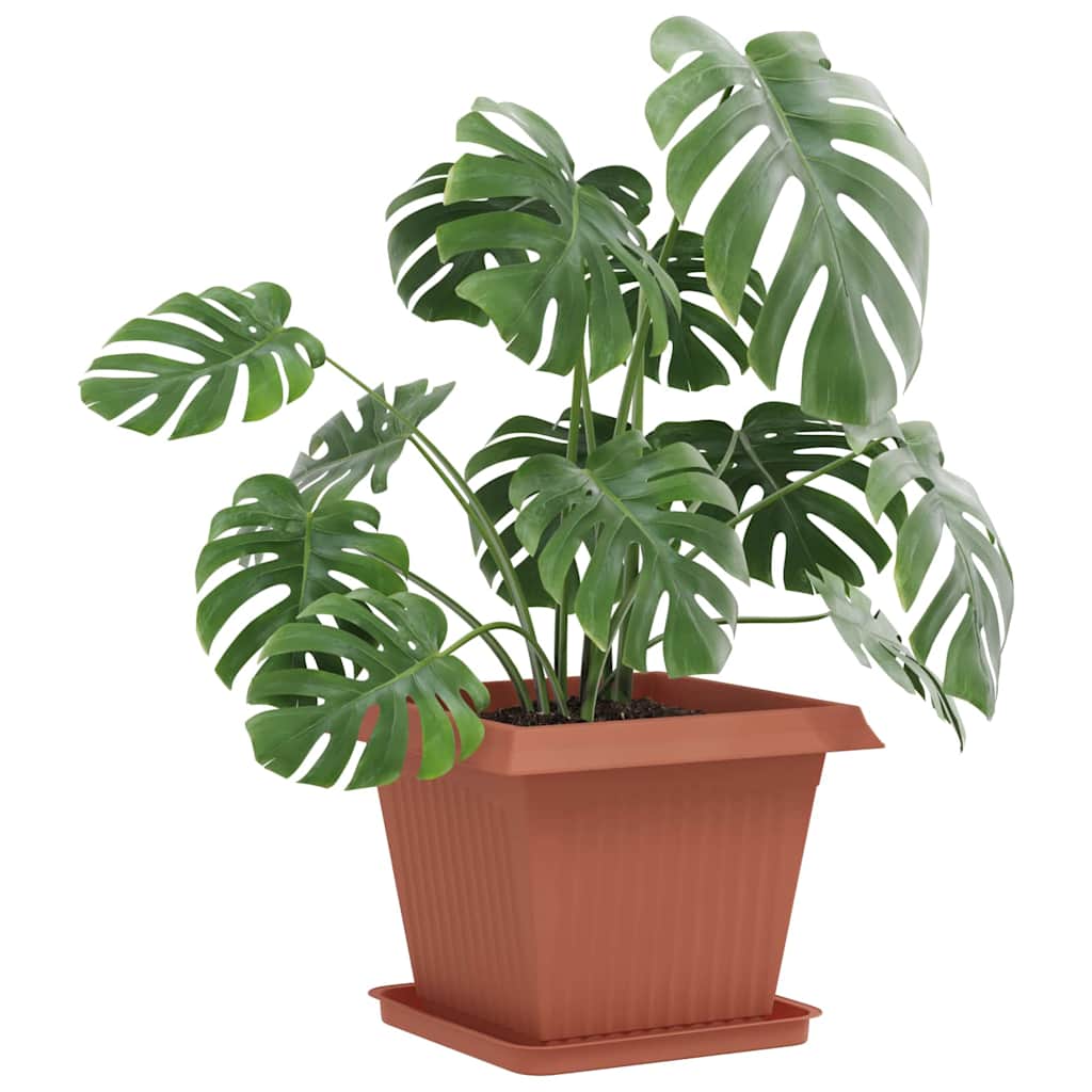 Växtkrukor 24 pcs Murgrön 43 x 43 x 33,5 cm Plast