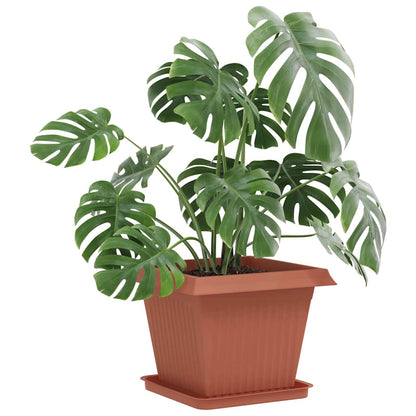 Växtkrukor 24 pcs Murgrön 43 x 43 x 33,5 cm Plast