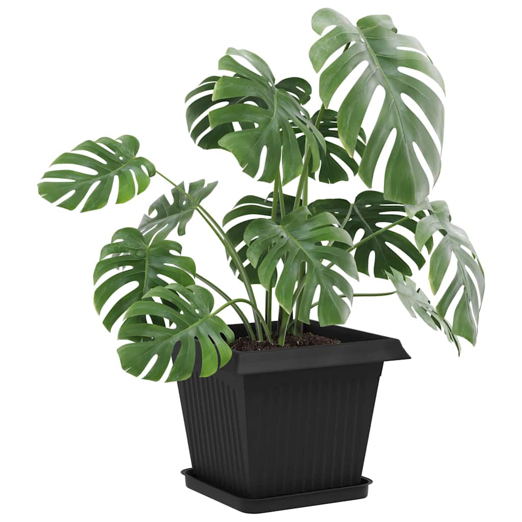 Växtkrukor 24 pcs Svart 33 x 33 x 26 cm Plast