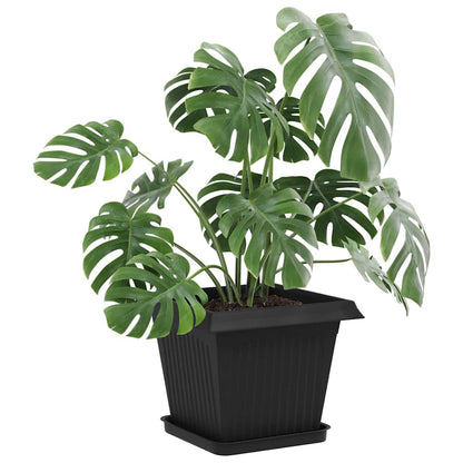 Växtkrukor 24 pcs Svart 33 x 33 x 26 cm Plast