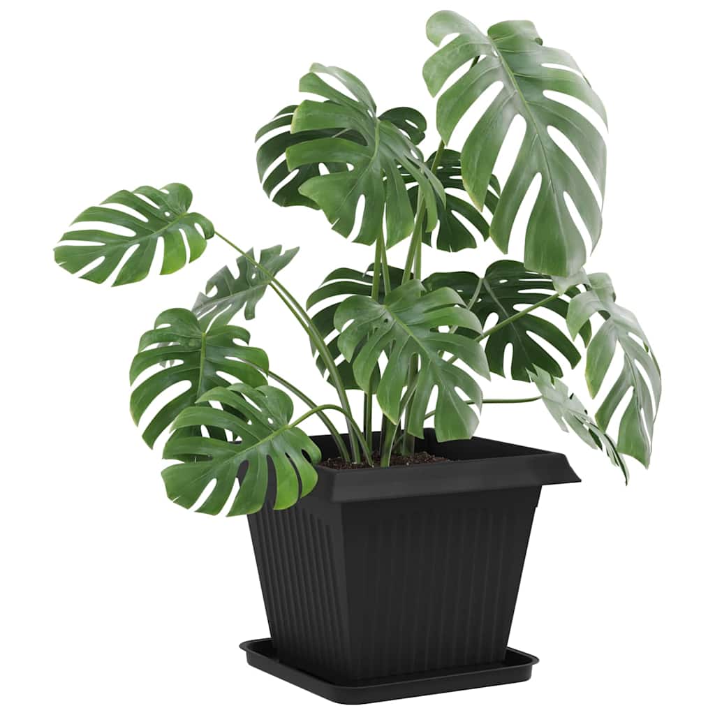 Växtkrukor 24 pcs Svart 38 x 38 x 30 cm Plast