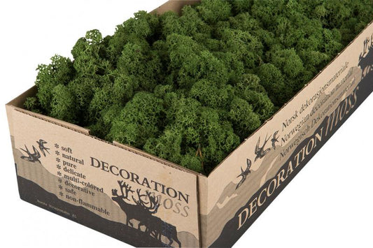 Jul div. Mossa Vitmossa BÄSTA PRIS Flamsäker Mörkgrön 500g