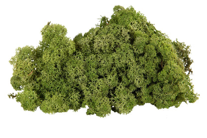 Jul div. Mossa Vitmossa BÄSTA PRIS Flamsäker Grön 500g