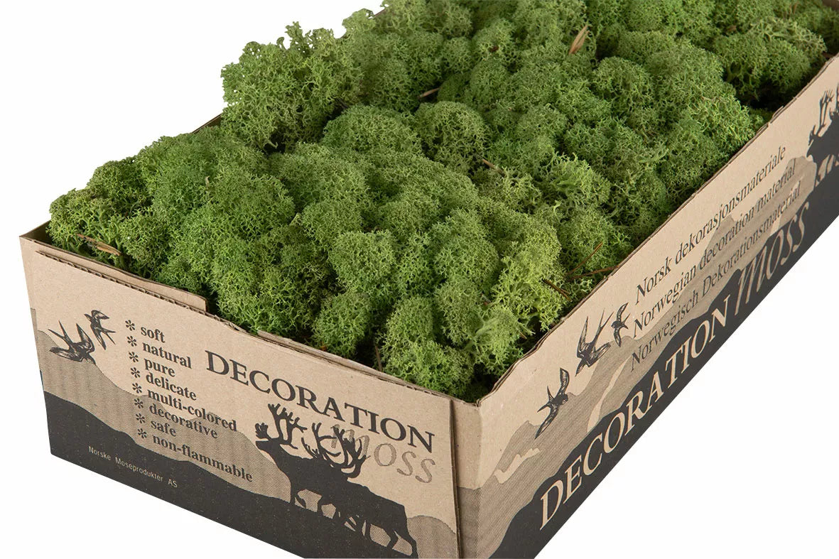 Jul div. Mossa Vitmossa BÄSTA PRIS Flamsäker Grön 500g
