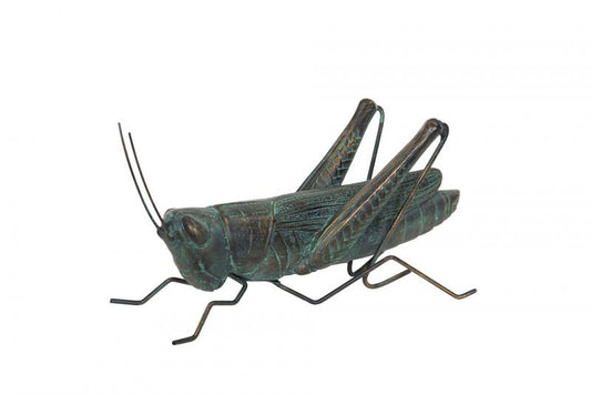 Dekoration Gräshoppa Ärgad Mässing Poly 24x11cm