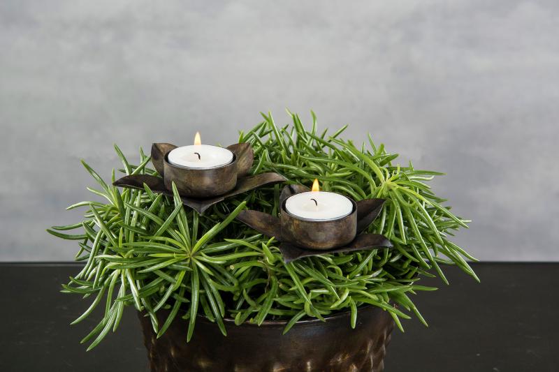 Ljusstake Ljushållare Värmeljus till flaska - Antikbrun 4-pack