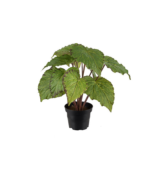 Konstgjord växt Rexbegonia 30 cm