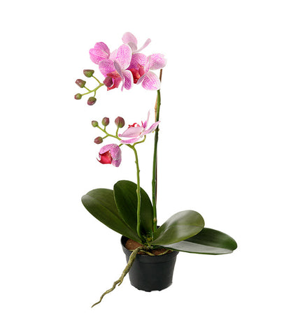 Konstgjord växt Phalaenopsis 45 cm Dammiglila