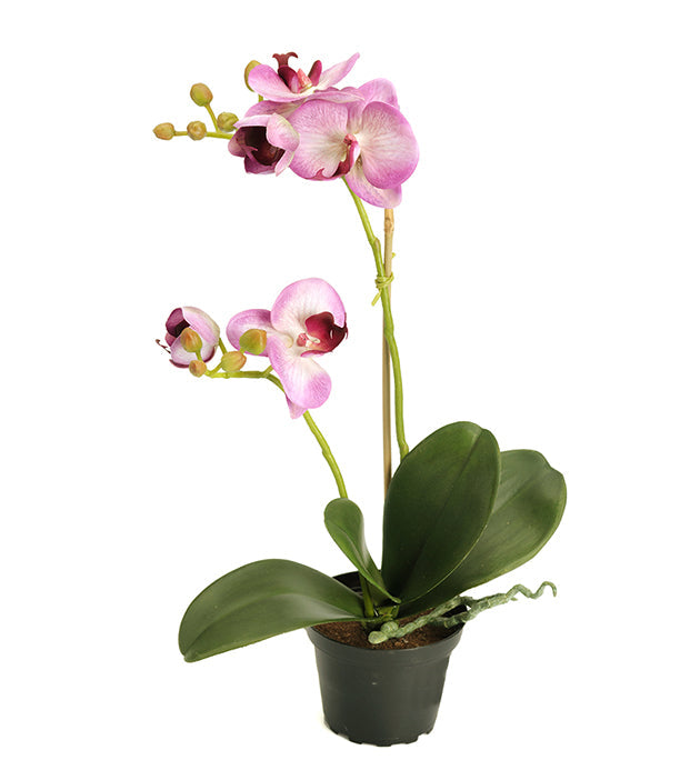 Konstgjord växt Phalaenopsis 45 cm Ljuslila