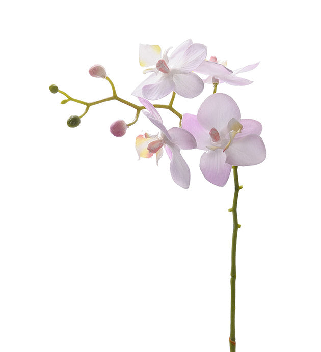 Konstgjord växt Orkidéstjälk Phalaenopsis 28 cm