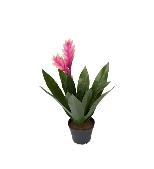 Konstgjord växt Bromelia 40 cm