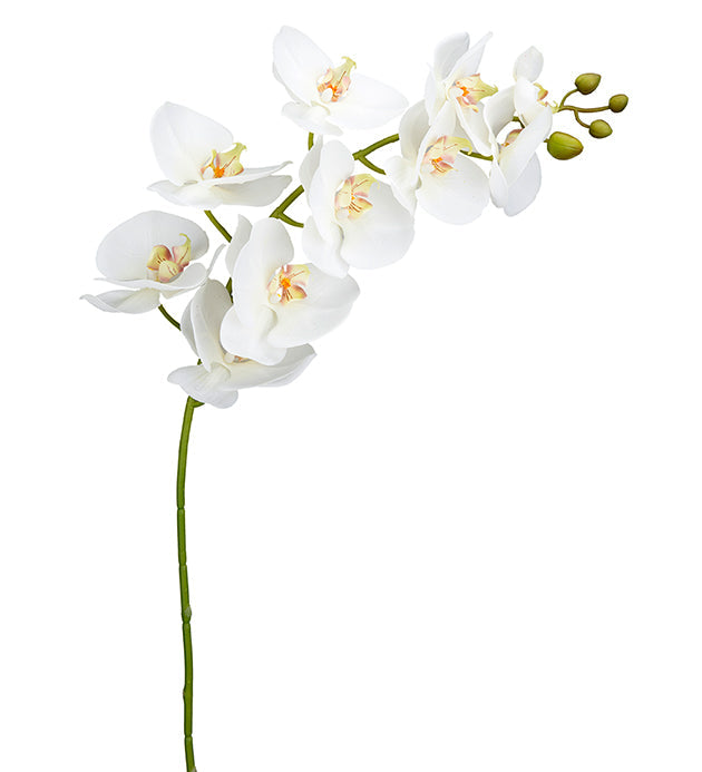 Konstgjord växt Orkidéstjälk Phalaenopsis. 105 cm